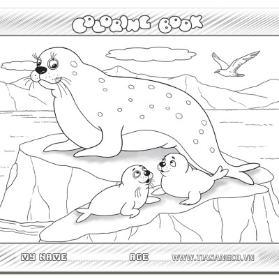 Xếp hình Tia Sáng  Hải cẩu (30 Mảnh Ghép) - Tặng kèm tranh tô màu cho bé