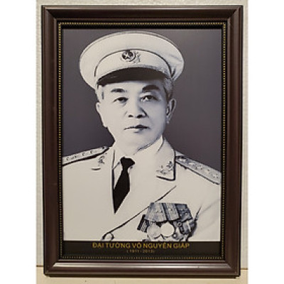 Ảnh gốc đen trắng chân dung Đại Tướng VÕ NGUYÊN GIÁP