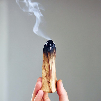 Thanh gỗ Trắc xanh- gỗ Thánh palo santo xông nhà thơm