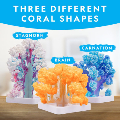 Đồ Chơi Bộ Thí Nghiệm Nuôi San Hô Tinh Thể Nat Geo STEAM RTCRYSHAB