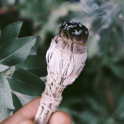 Bó xông đốt Lá Thánh Yerba Santa - Thánh Thảo Dược