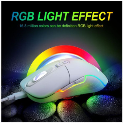 Chuột máy tính không dây Gaming Newmen WGX6 (Dual Mode Type C & 2.4 Ghz) - Hàng chính hãng