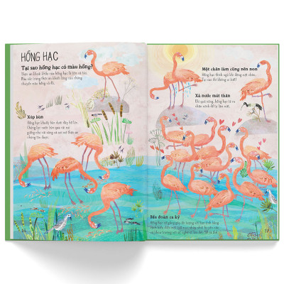 A Lê Hấp! Thế Giới Chim