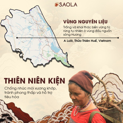 Cao tinh dầu Sao la (Saola Essential Oil Balm) 11g - Hỗ trợ giảm đau lưng, nhức mỏi, đau khớp, giúp ngủ ngon. Sản phẩm sản xuất từ các loại dược liệu thiên nhiên - Hàng Chính Hãng