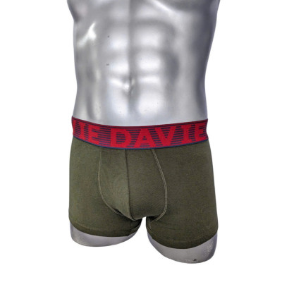 Quần Lót Nam Thương Hiệu Davie Boxer Dv2205 Bản Lưng 4.0 Cm Mạnh Mẽ Và Chắc Chắn