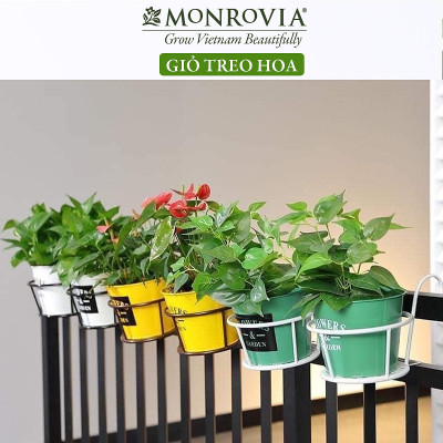  Combo 3 Giỏ treo chậu hoa ban công MONROVIA, giỏ sắt treo chậu hoa ban công, chậu treo ban công, kệ treo ban công, móc treo, khung thép, sơn tĩnh điện chính hãng thương hiệu MONROVIA  - Màu Trắng