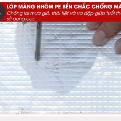 Keo Dán Chống Thấm Siêu Dính Nhật Bản Bosui Dài 5m