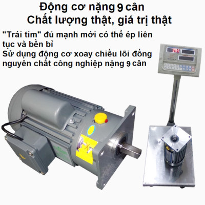 [ HÀNG NHẬP KHẨU] Máy ép dầu thực vật chuyên nghiệp Septree S8 – Dùng cho gia đình, kinh doanh, nhà hàng, khách sạn
