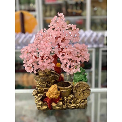 Cây Tài Lộc với tiểu cảnh thiềm thừ cóc ngậm tiền và tỳ hưu phong thủy đá thạch anh hồng - Cao 30 cm