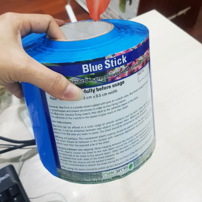 Keo Bẫy Bọ Trĩ nhập khẩu Israel (cuộn 100M) dùng bẫy bọ trĩ và côn trùng khác hiệu quả trong nông nghiệp làm vườn 