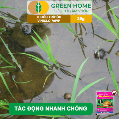 Thuốc Diệt Ốc Bươu Vàng Viniclo 70WP, GreenHome, Gói 35gr, Diệt Sạch Ốc, An Toàn Cho Lúa