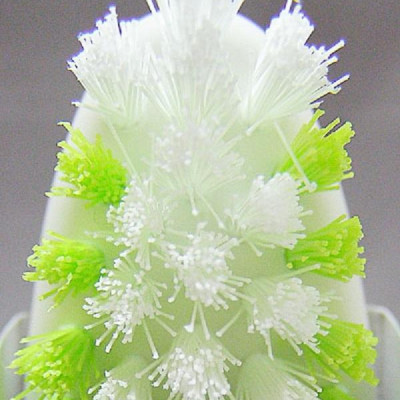 Thanh xà phòng giặt cổ áo dạng thanh 100g	+ 01 bàn chải giặt quần áo - Hàng nội địa Nhật Bản.