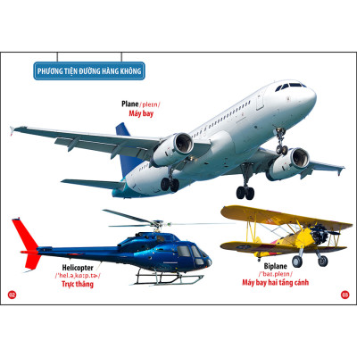 Combo 3: Cuốn Thế Giới Động Vật - Hoa Quả Rau Củ - Phương Tiện Giao Thông