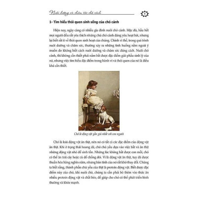 Sách - 100 Mẹo Nuôi Và Chăm Sóc Thú Cưng - Chu Truyền Lâm - VIETNAMBOOK