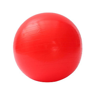 Bóng Tập Yoga Da Trơn Đại Nam Sport DNS65T (65cm) + Tặng Kèm Bơm