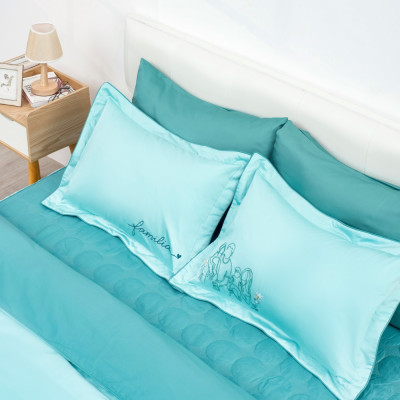 Bộ chăn gối cao cấp Sông Hồng SH_UC22 020