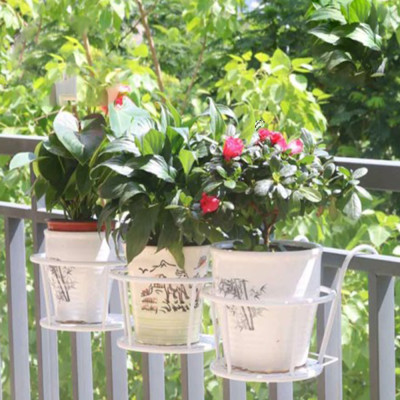 Giá Đỡ Chậu Hoa Treo Ban Công Bằng Sắt PaKaSa - Hàng Chính Hãng 