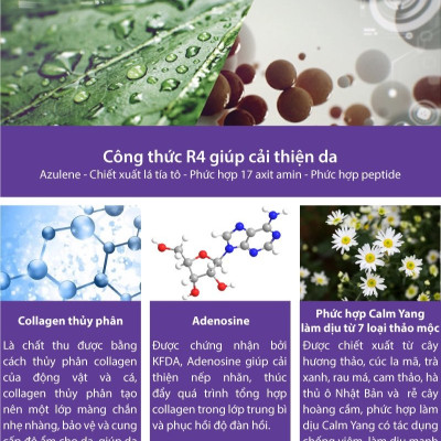 Tinh chất dưỡng da phục hồi và trẻ hóa Ampoule Labo DERMAFIRM - Bio Correction Ampoule Collagen R4 (50ml)