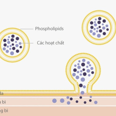 Kem dưỡng Labo Dermafirm - Ultra Soothing Hydra Cream R4 (50ml) phục hồi cho da giãn mao mạch