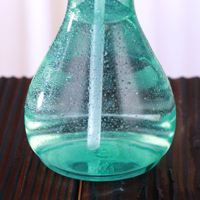 Bình Xịt Nước/Bình Xịt Tưới Cây Bằng Nhựa PET Bình Xịt Nước Tạo Mẫu Tóc - (Ngẫu Nhiên)