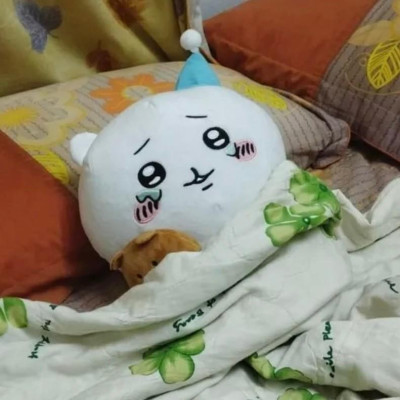 Gấu chikawa gấu bông chiikawa usagi corner 30cm chikkawa giao hoả tốc 2h tại tphcm