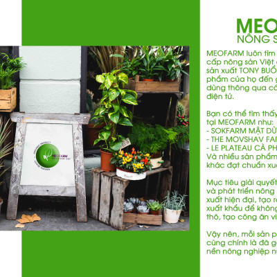 Gel vệ sinh X2 Nano Nghệ Cỏ Cây Hoa Lá làm sạch cô bé ngăn ngừa viêm nhiễm làm hồng và se khít hương chanh tây tươi mát tặng nước hoa vùng kín BIM 150ml