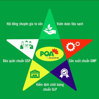PQA Dạ Dày dạng ống là dược phẩm thảo dược dùng cho người đang bị bệnh dạ dày, tá tràng, viêm đại tràng cấp và mãn tính hỗ trợ hạn chế các triệu chứng tổn thương dạ dày – hành tá tràng, đại tràng