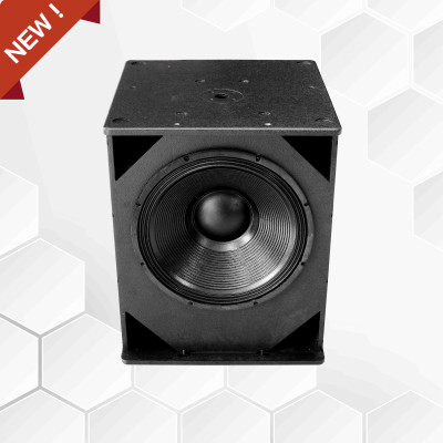 Loa Sub 5 Tấc D118D - Hàng Nhập Khẩu Chính Hãng