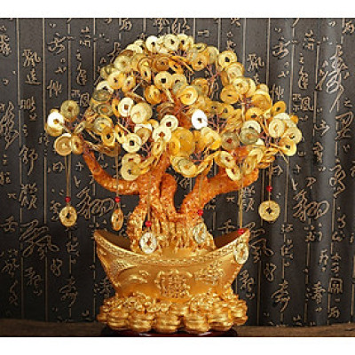 Cây kim tiền, cây tài lộc - Mẫu 2