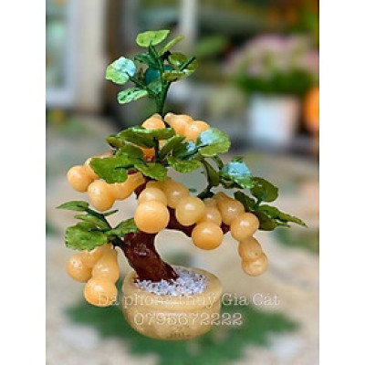 cây hồ lô đá ngọc hoàng long phong thuỷ