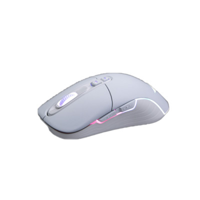 Chuột máy tính không dây Gaming Newmen WGX6 (Dual Mode Type C & 2.4 Ghz) - Hàng chính hãng