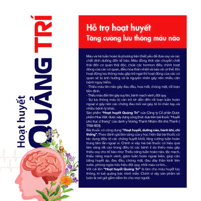 Hoạt Huyết Bổ Não Quảng Trí Hoa Việt - Hỗ trợ tuần hoàn não, bổ não, cải thiện trí nhớ hộp 30 viên