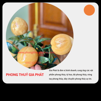 Cây đào phong thuỷ đá ngọc hoàng long 18 quả, quả to|phongthuygiaphat