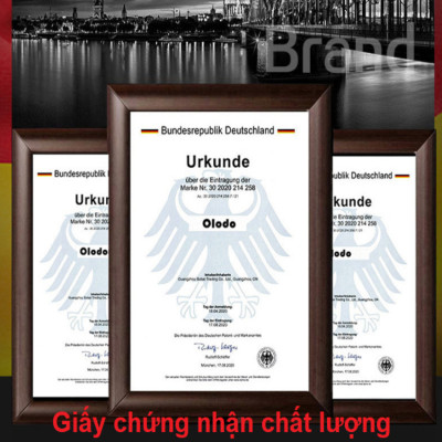 Máy xay hạt cà phê Espresso 31 chế độ Olodo cao cấp CG-001, công suất 165W - Hàng chính hãng