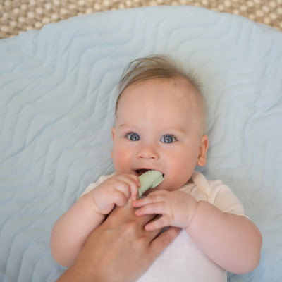 [ HG126-INTL ] Bàn chải răng ngón tay Dr.Brown