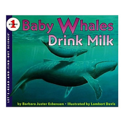 Lrafo L1: Baby Whales Drink Milk