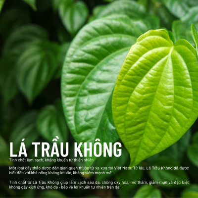 Xà Bông Tắm Thuần Chay Cao Cấp Lá Trầu Không Heebee