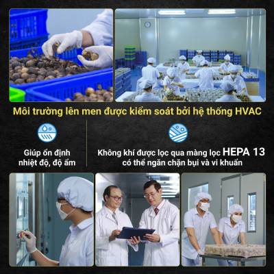 Combo 3 Hộp Tỏi Kim cương Đông Á 200g  - Tỏi đen cô đơn SX theo công nghệ Nhật Bản, hỗ trợ tốt cho sức khỏe - Kiểm nghiệm chất lượng bởi Bộ Y Tế, Intertek