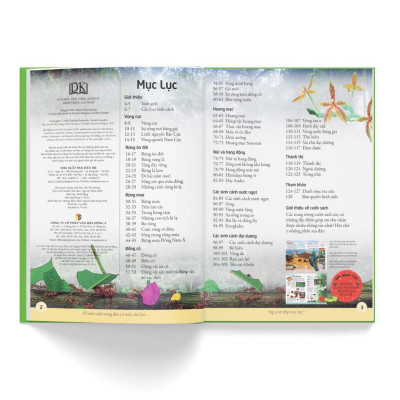 Sách - Bách khoa cho trẻ em – Bách khoa tự nhiên - Bìa cứng - Đông A