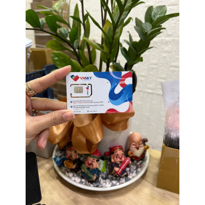 FREESHIP - CHƯA KÍCH HOẠT. Sim VNSKy89C 90GB/ THÁNG 500p gọi nội mạng có sẵn tháng đầu tiên. Hàng chính hãng