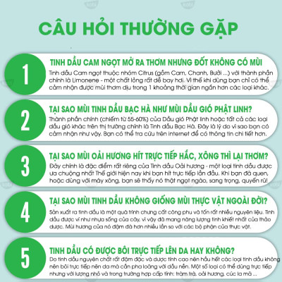 Tinh Dầu Bạch Đàn Chanh Kobi Lemon Eucalyptus Essential Oil Dùng Xông Phòng, Giúp Tăng Cường Hệ Hô Hấp, Giảm Stress, Tập Trung Tinh Thần