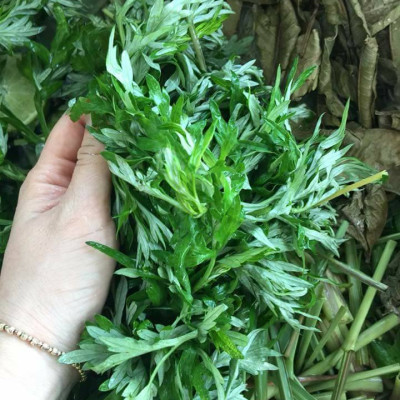 Dung dịch vệ sinh phụ nữ thảo dược 150ml hổ trợ ngăn ngừa các bệnh viêm, ngừa thường gặp ở phụ nữ