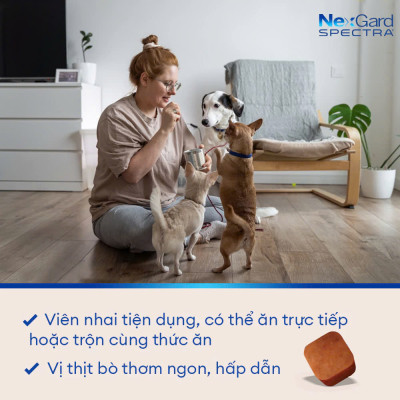 Nexgard Spectra - Phòng Và Diệt Ve Rận, Bọ Chét, ghẻ Demodex Nội Và Ngoại Ký Sinh Trùng Cho Chó