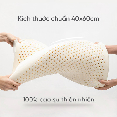 Gối nằm Cao Su Thiên Nhiên Tatana Cong Thái Học size 40x60 cm ,Chống Đau Cổ Vai Gáy ,Vỏ Áo Làm Mát, Thoáng Khí Êm Ái