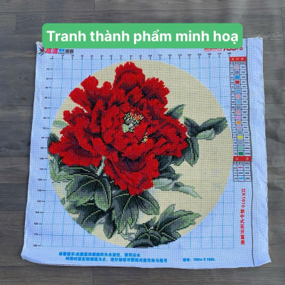 Tranh thêu kín chữ thập Hoa mẫu đơn DX1010, kích thước 50 x 50 cm