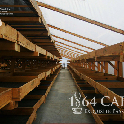 Cà phê hảo hạng (Specialty Coffee) 1864 CAFÉ Guatemala Puerta Verde nguyên hạt 220g