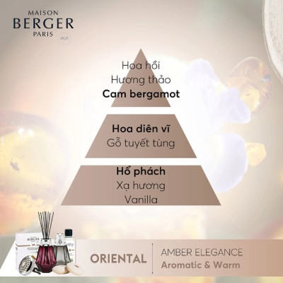 Maison Berger - Tinh dầu đèn xông hương Amber Elegance - 500ml