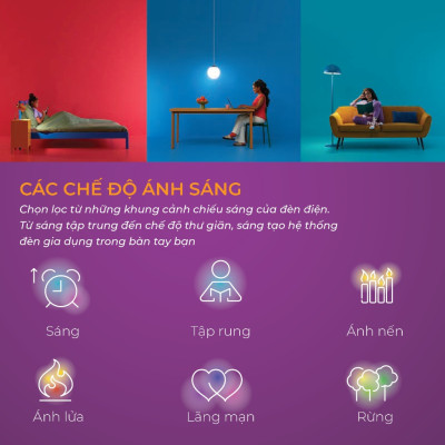 Combo 4 đèn LED âm trần thông minh WiZ Downlight Full Color 16 triệu màu Wifi & Matter, Hàng Chính Hãng, Bảo hành 1 Năm