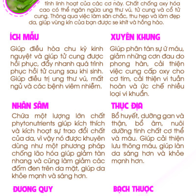 Viên dưỡng nhan Thiên sư