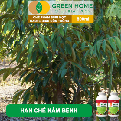 Chế Phẩm Sinh Học Bacte Bios Côn Trùng, Green Home, Chai 500ml, Từ Thảo Mộc, Hiệu Lực Nhanh Mạnh